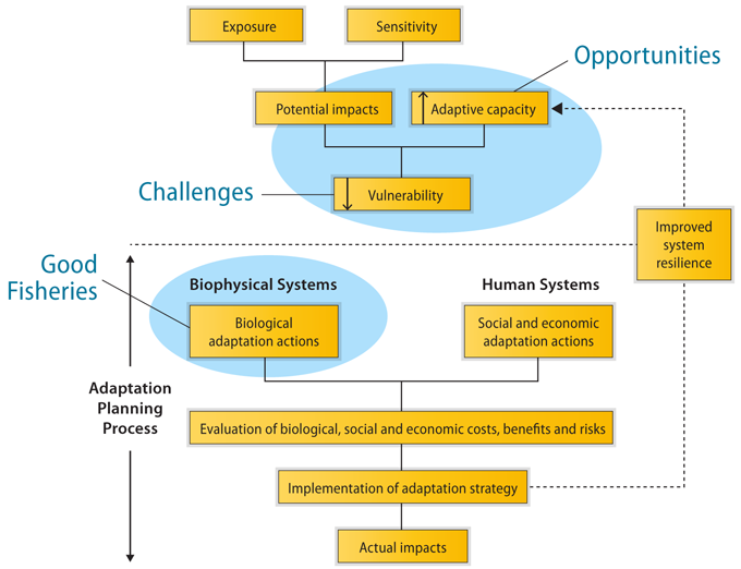 Good Fisheries diagram