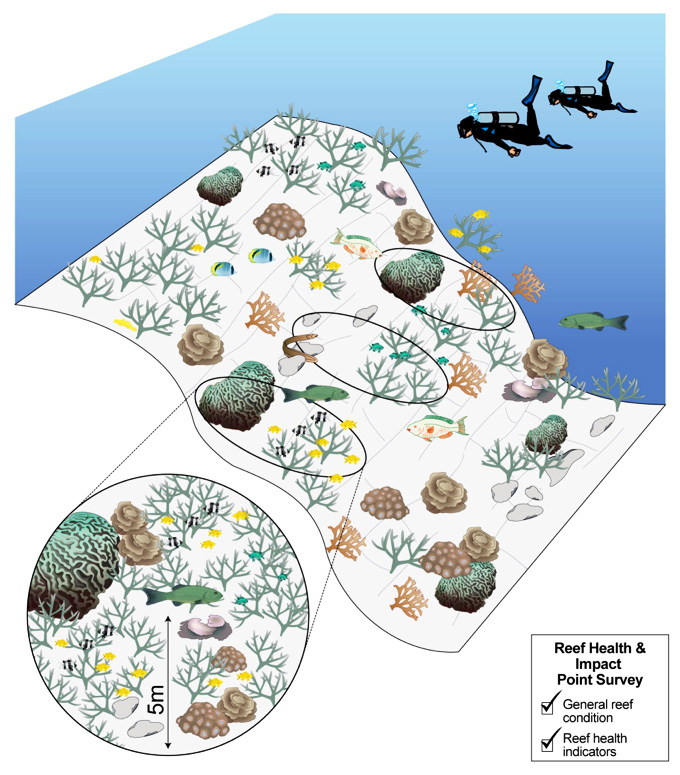 Reef Health Survey Protocol